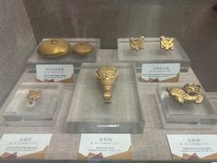 -烟台自然博物馆