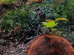 -上海市保健医疗中心