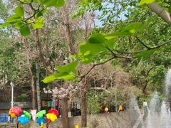 -燕塞湖鸟语林景区