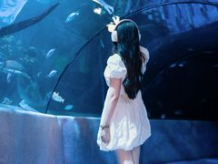 -太平洋海底世界