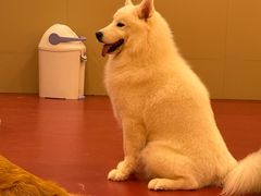 -和它·交个朋友·狗咖猫咖(爱琴海店)