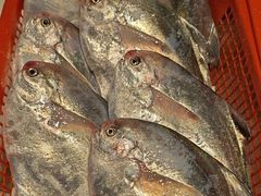 -龙宴海鲜城(经中路店)