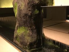 -木石云水(东方路店)