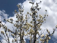 -青峰峡国家森林公园