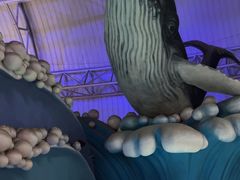-烟台海昌鲸鲨海洋公园