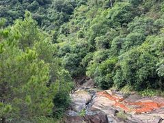 -广州白江湖森林公园