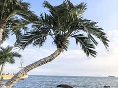 -靓湾海鲜·海景餐厅(小麦岛店)