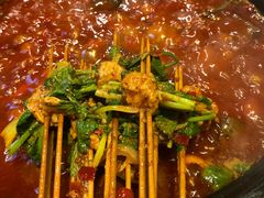 香菜牛肉-钢管厂五区小郡肝火锅串串香(总店)