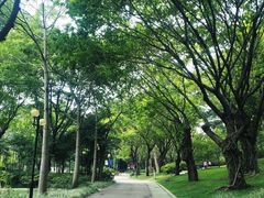 -云溪植物园