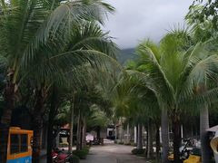 -100蛋泥浆浴