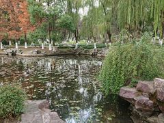 -范蠡湖公园