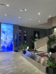 -十孕纪高端孕妇亲子摄影