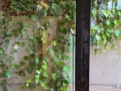 -神户六甲牧场(北野本店)