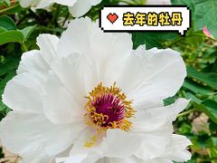 -国家植物园