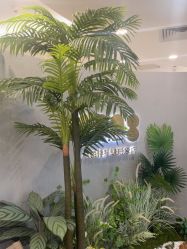 -八佰伴8008星级形象店