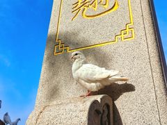 -天津妈祖文化园