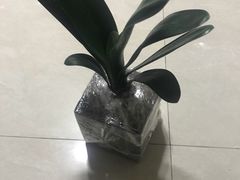 -老味道餐厅(江山店)