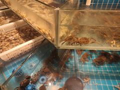 水产区-星伦多自助料理(江阴万达店)