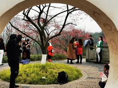 -重庆彩云湖湿地公园
