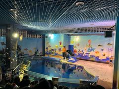 -太平洋海底世界