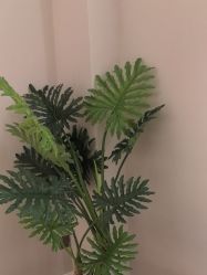 -悦润荟美容抗衰中心