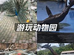 -泉州海丝野生动物世界