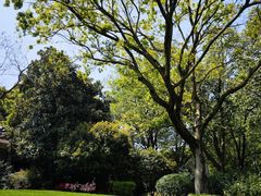 -中国茶叶博物馆(双峰馆区)