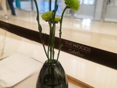 -THE WOODS 简餐 (国贸商城店)