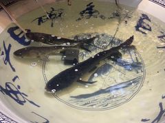 -南京金牛湖巨碗鱼头