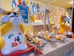 -柴犬高等学院·狗咖·柴犬售卖·宠物训练