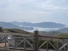 -江南天池