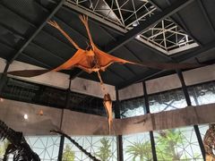 -湖南省地质博物馆