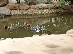 -厦门园林博览苑
