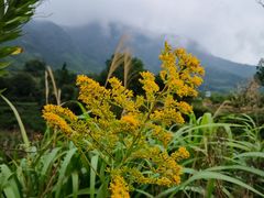 -塔川景区
