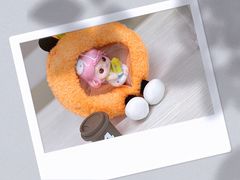 -王中王餐厅(东安路店)
