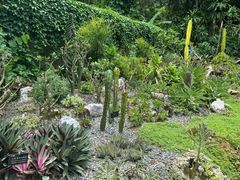-中国科学院西双版纳热带植物园