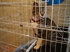 -逃脱反斗城沉浸剧情密室(北京路店)