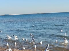 -金梦海湾浴场
