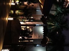 -海南椰子鸡餐厅(三亚湾红树林店)