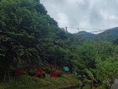 -南丹山森林王国