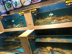 水产区-鲜鲜·鲅鱼圈海鲜(于洪店)