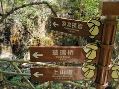 -牛鱼嘴原始生态风景区