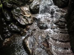 -牛背梁国家森林公园