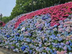 -苏州上方山国家森林公园