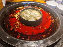 -陈眼镜火锅(总店)