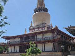 -张掖大佛寺景区