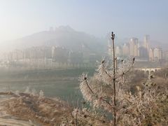 -天鹅湖生态旅游风景区