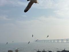 -黑石礁公园