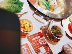 -大龙燚·旷野鲜火锅(广州首店)