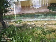 -成都动物园